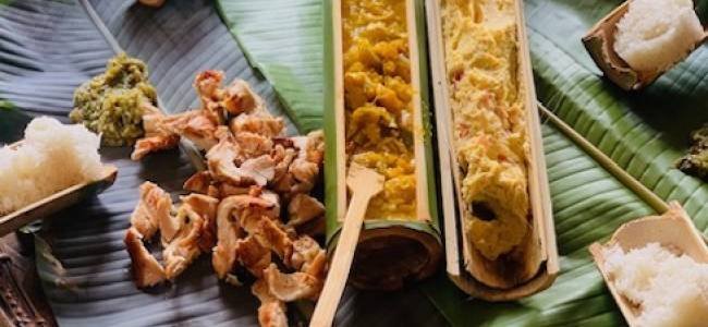 1 Day Learning: Bamboo